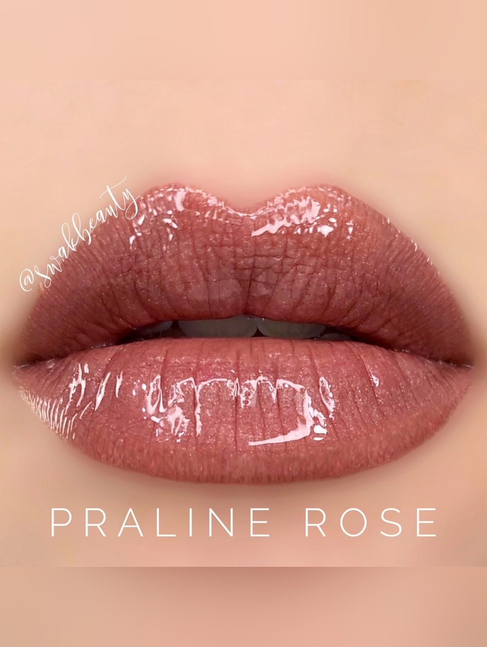 LAST ONE! PRALINE ROSE